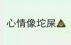 浙二医院代挂号，浙二医院网上预约挂号，浙二医院公交路线，科室···