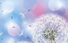 赵烨预约挂号,浙江省人民医院整形外科赵烨:用专业与匠心塑造美丽