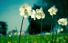 周云连预约挂号，浙江省儿童医院呼吸内科周云连擅长慢性咳嗽，支气管炎，肺炎，支气管哮喘，鼾症，打呼噜，张口呼吸等